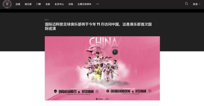 成人国内精品久久久久影