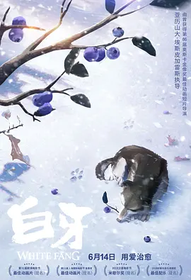 www视频