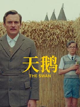 中文字幕视频网