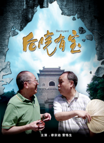 成人午夜精品视频在线观看