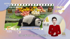 国产成人a视频在线观看